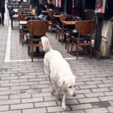 旅で味わった料理を再現すると世界が拡がる 2025食旅まとめ