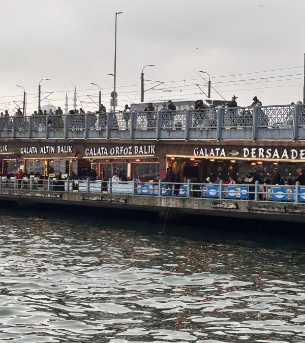 ケバブと鯖サンドの香りーイスタンブールの食旅　思い出その1